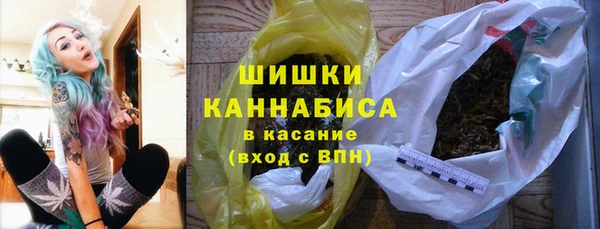 хмурый Заводоуковск