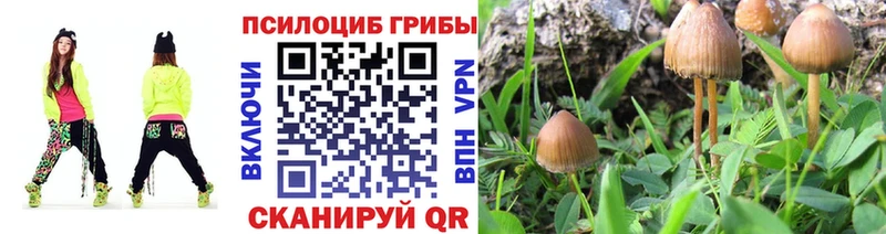Галлюциногенные грибы Magic Shrooms  Купить  Малая Вишера 