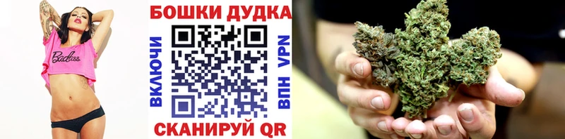 Бошки Шишки план  Купить закладки  Малая Вишера 